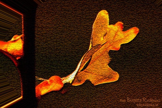 pm_20111101_ek1 pm_20111101_ek1