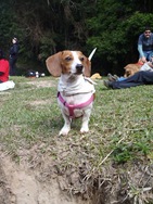 [Patas212604.jpg]