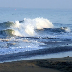 Marari Beach Resort