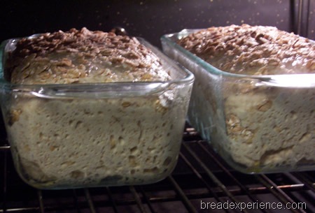 multigrain-spelt-bread-with-soaker 023
