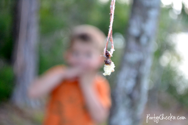 [DSC_6838%255B2%255D.png]