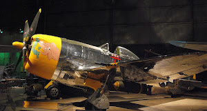 5406494714.jpg