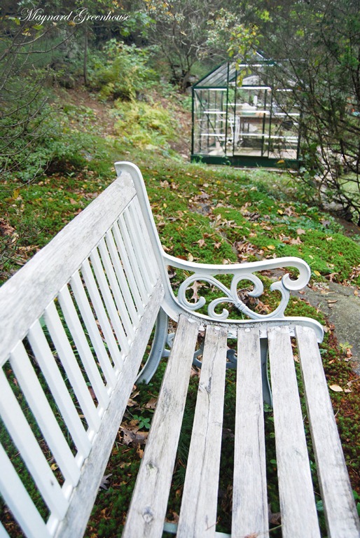 [bench.jpg]