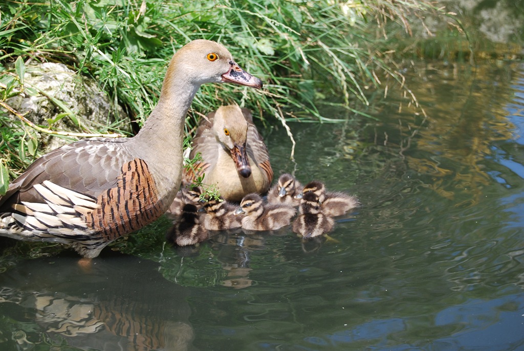 [DSC_0051%255B7%255D.jpg]