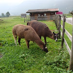 DSC05248.JPG