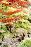 DSC01418.JPG
