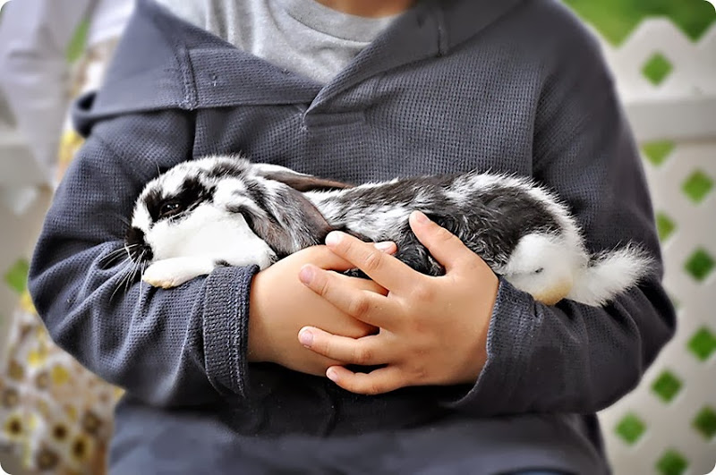 Cuddling1 Cuddling1