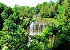Webster Falls