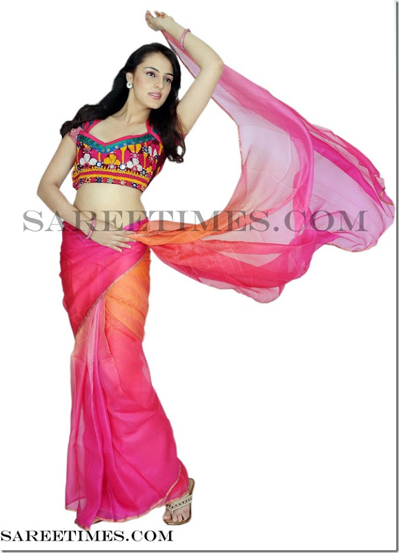 Hanika_Paryani_Designer_Saree