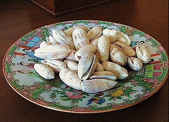 IMG_1353 IMG_1353