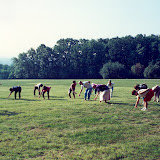 sevenoaks exercises.jpg