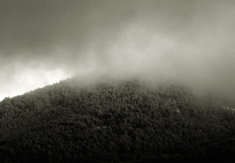 niebla en la montaña