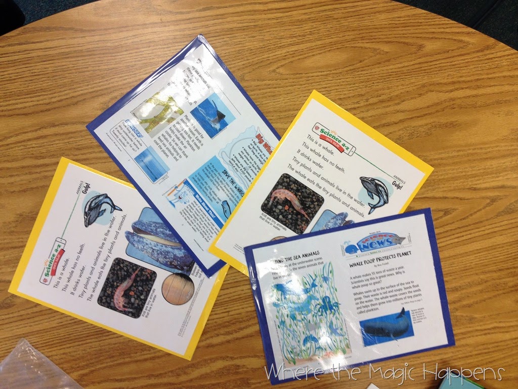 [IMG_6960%255B1%255D%255B8%255D.jpg]