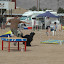 DSC_0083.JPG