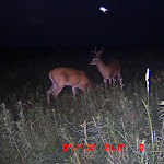 ICAM0159.JPG