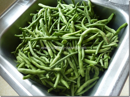 blanch and freeze green beans (1)