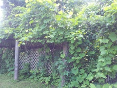 2012-07-10 18.48.24 2012-07-10 18.48.24