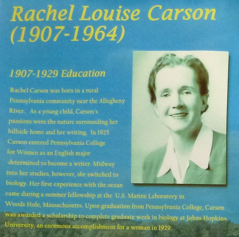 [02b2---Rachel-Carson-Bio3.jpg]