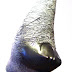 Object: 10757 - The Wind - 12x54 cm - € 5450,=