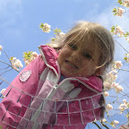 DSCN6813.JPG