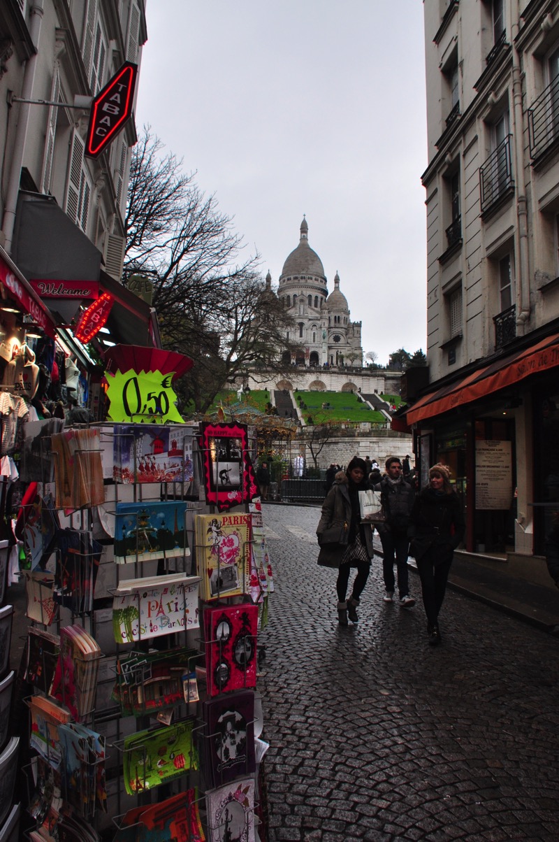 DSC_0503.jpg DSC 0503