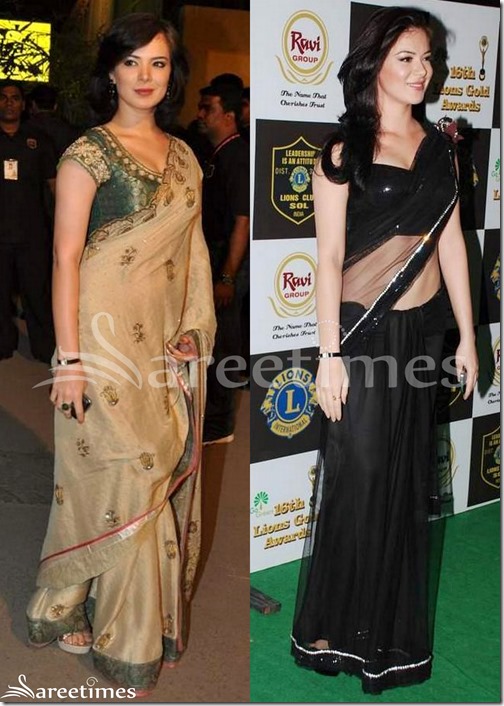 Urvashi_Sharma_Sarees(3)