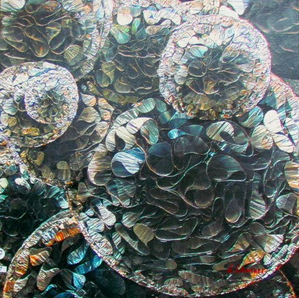 Pod mikroskopom - Sergey Shnicer.jpg