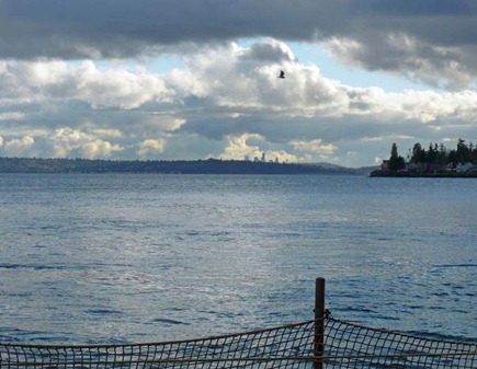 Seattle Skyline