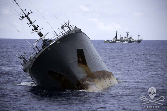 At 1152 GMT on 6 April 2015, the notorious poaching vessel, the 'Thunder', sank at 0˚ 20' North 05˚ 23' East inside the Exclusive Economic Zone (EEZ) of Sao Tome. Sea Shepherd ships remained at a safe distance from the sinking poaching vessel. Photo: Simon Ager / SSCS