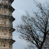 Dali - pagoda and trees
