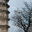 Dali - pagoda and trees