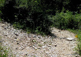 Miss this turn and you are screwed. Miss this turn and you are screwed.