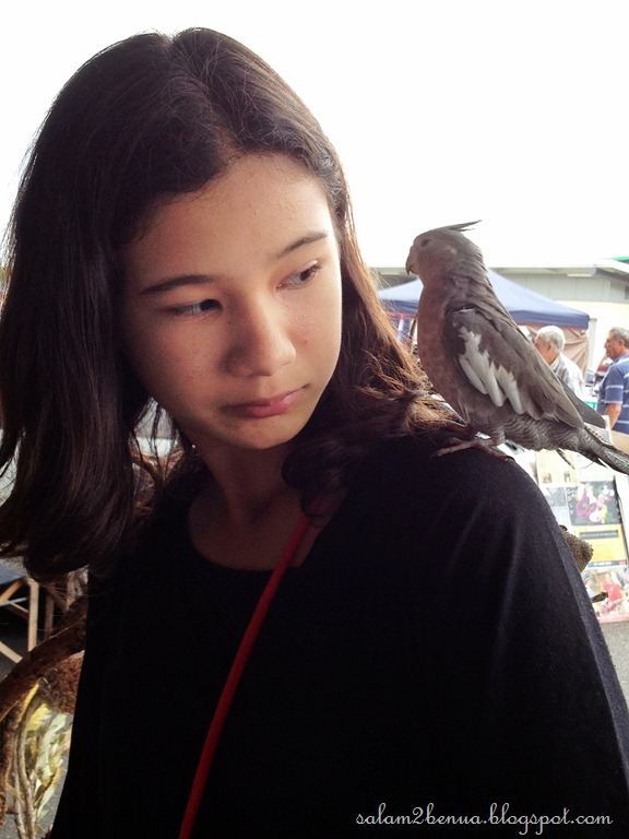 [IMG_0707%255B8%255D.jpg]