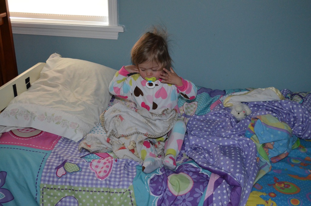 [DSC_0533%255B3%255D.jpg]