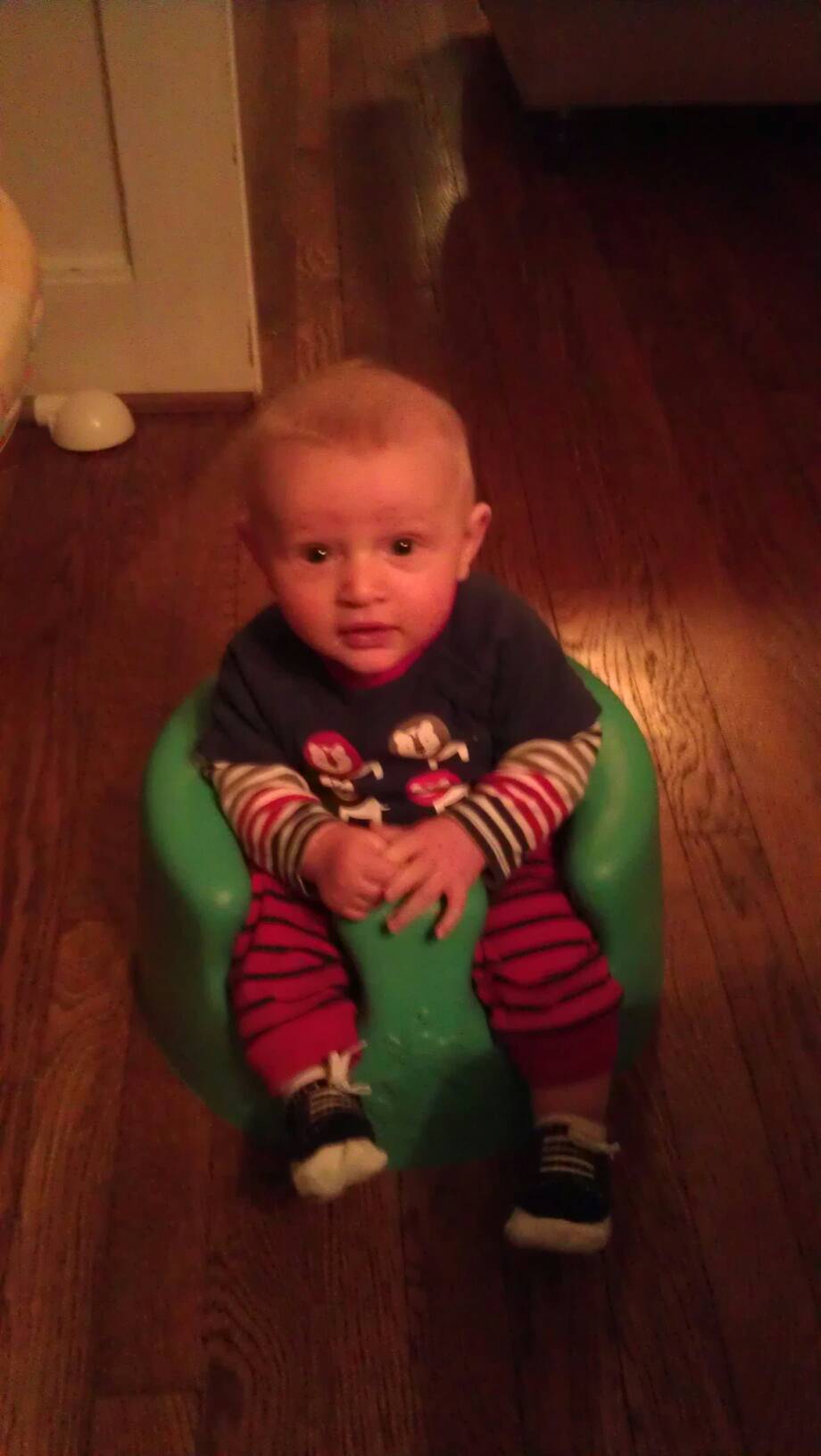 three months old