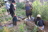 DSC08075.JPG