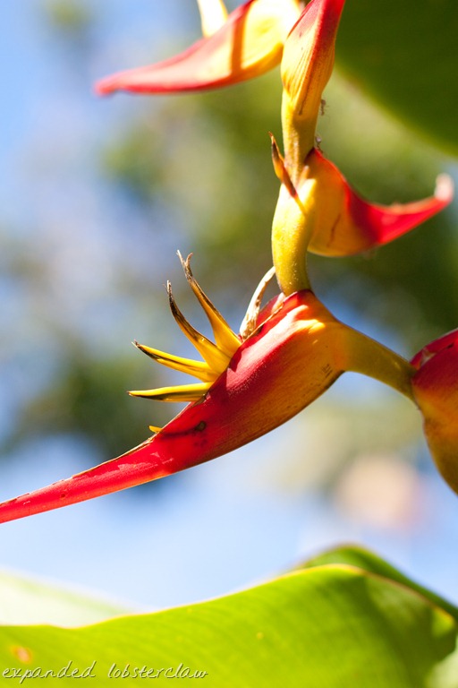 [20121215-IMG_372114.jpg]