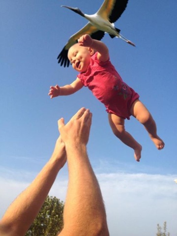 [viral-picdump-pics-5%255B2%255D.jpg]