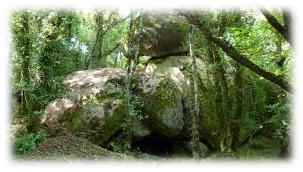 La gruta y el bosque La gruta y el bosque