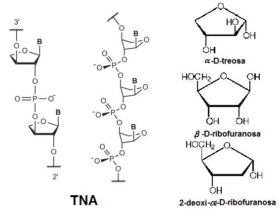 [TNA%255B4%255D.jpg]