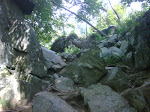IMG00331-20090810-1122.jpg