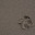 DSC_0195-2.jpg