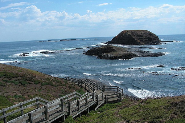 [PHILLIP_ISLAND%255B6%255D.jpg]
