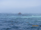 IMG_1384.JPG