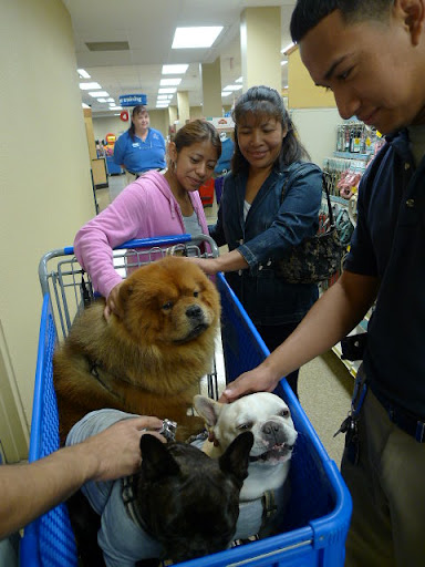It's very exciting when people recognize us!  However, at PetSmart, it's nearly impossible to be incognito with our photos plastered everywhere!  We love all the attention!