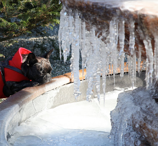 Oh dear - something's terribly wrong with this fountain!  It's kind of frozen.