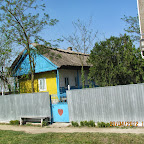 IMG_7503.JPG