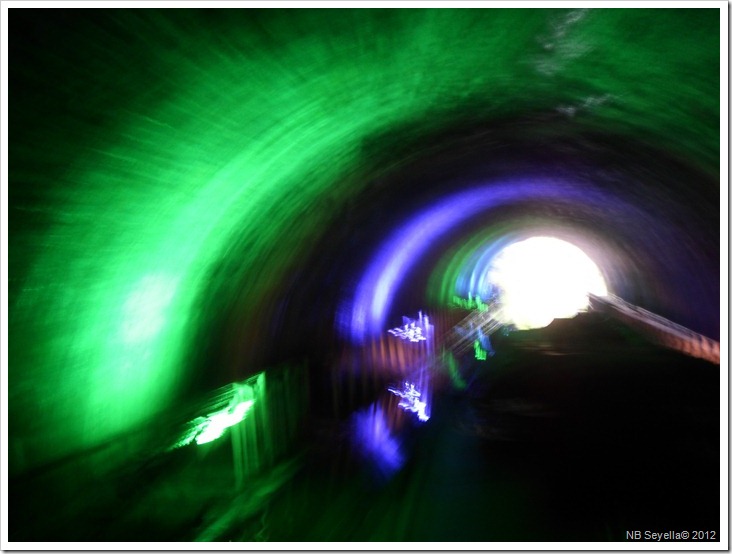 SAM_0783 Newbold Tunnel SAM_0783 Newbold Tunnel