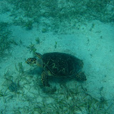 IMG_1573.JPG