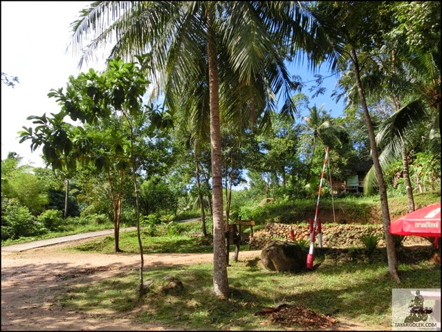 [CIMG12632.jpg]